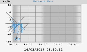 Wind Vector