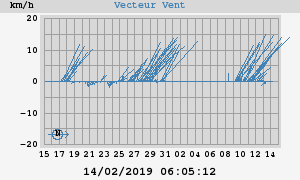 Wind Vector