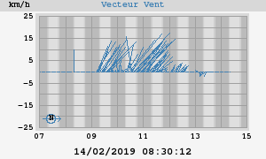 Wind Vector