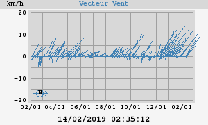 Wind Vector